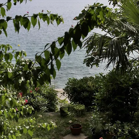 2354e Appartamento *